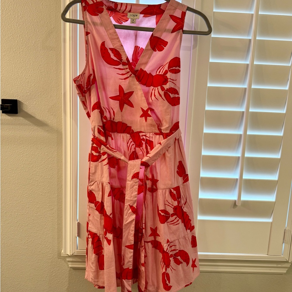 J. Crew Pink Dress with Red Print